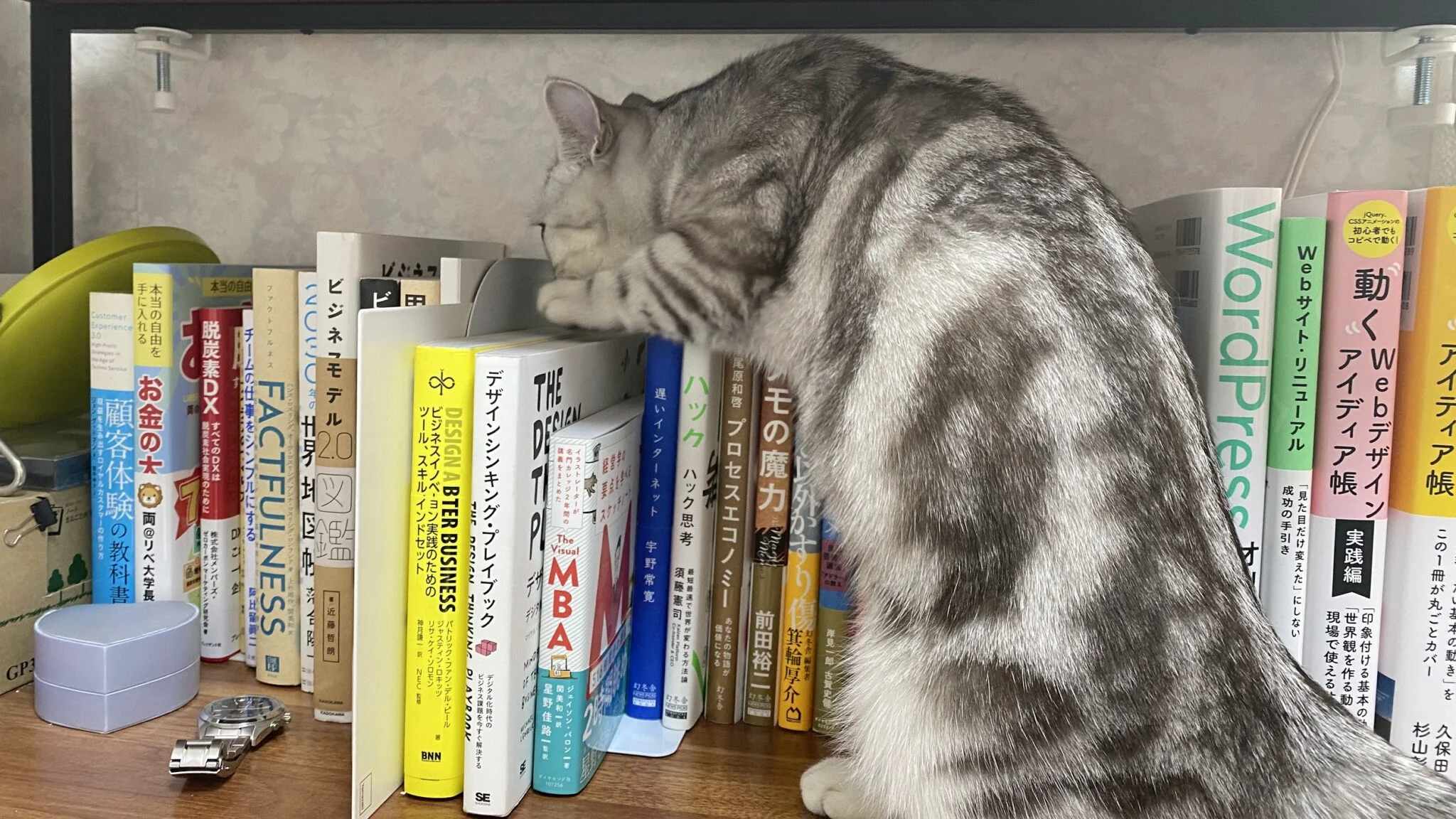 画像2の説明