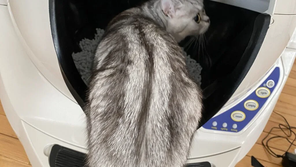 猫用トイレロボット