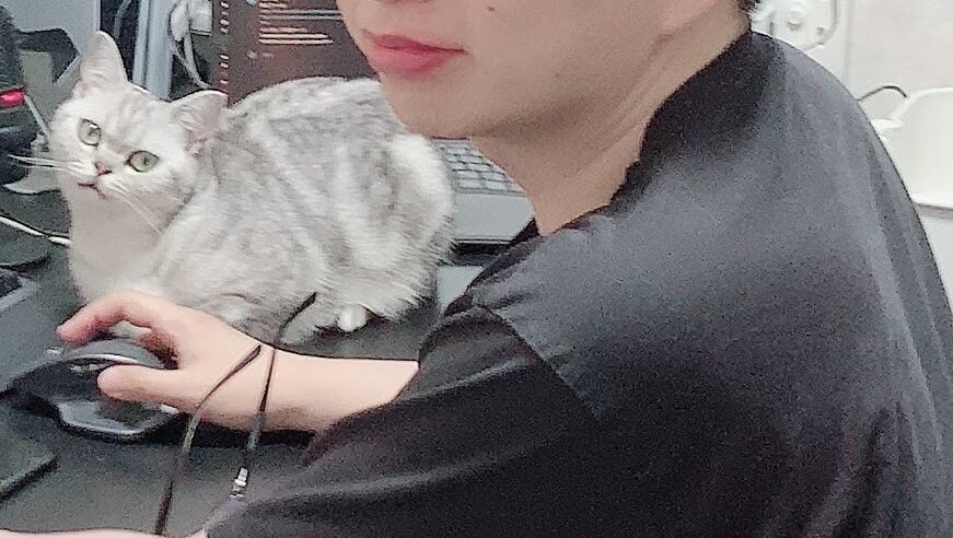 アイコンタクトで報告する猫