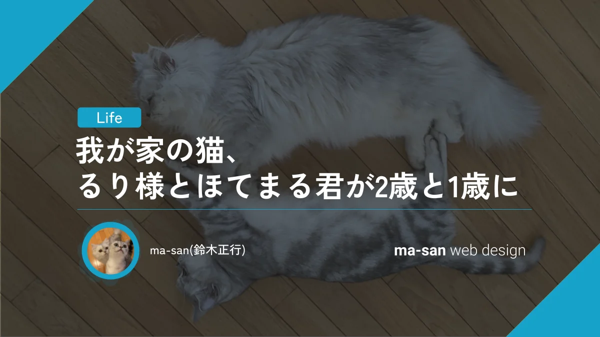 我が家の猫、るり様とほてまる君が2歳と1歳に